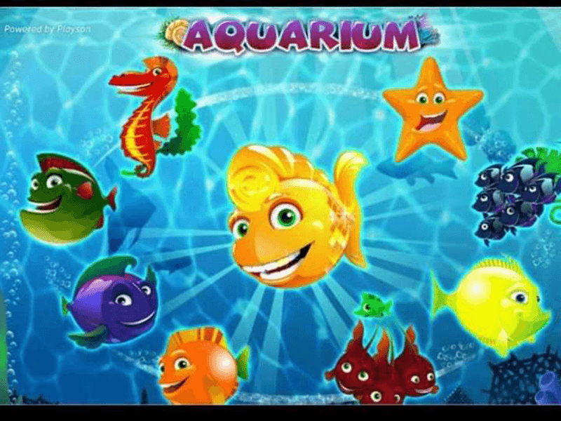 Aquarium Slot