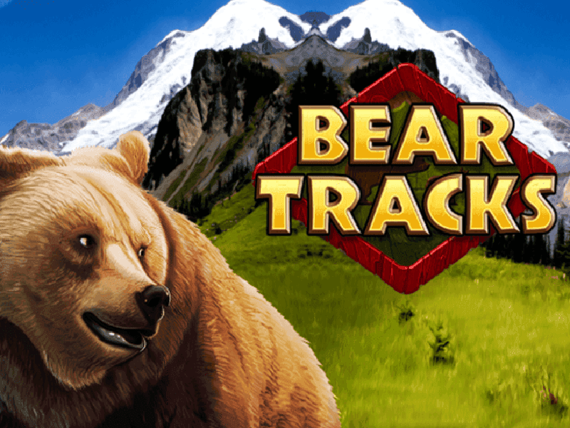 Bear Tracks