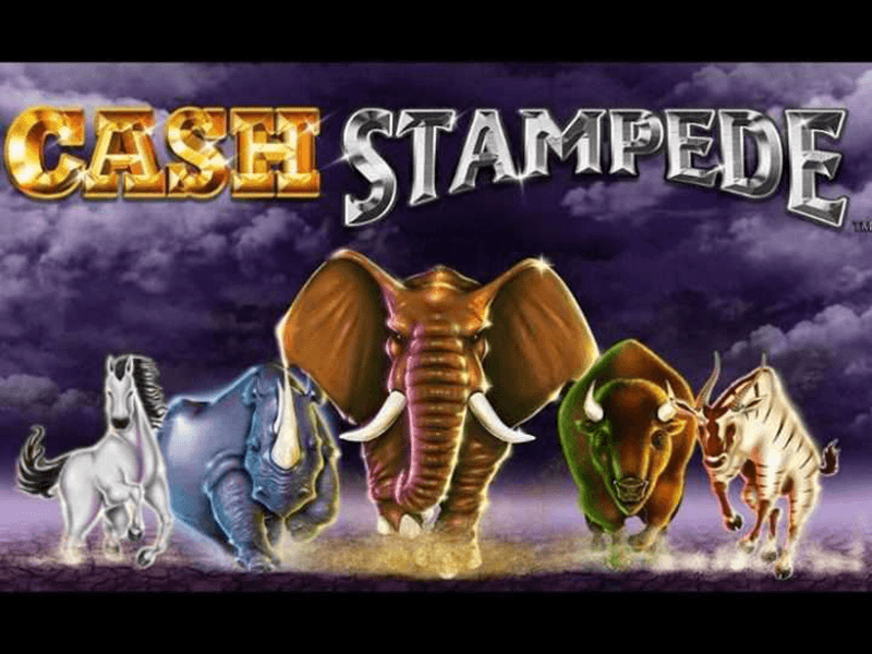 Cash Stampede