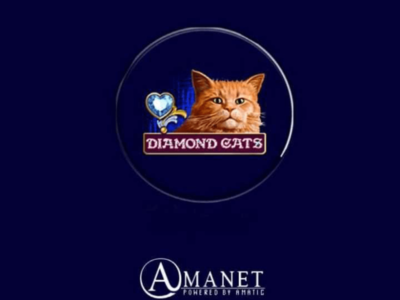 Diamond Cats