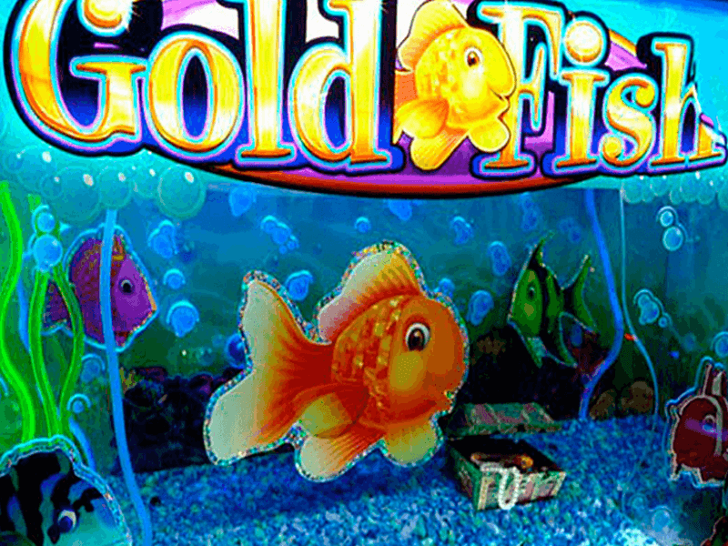 Gold Fish