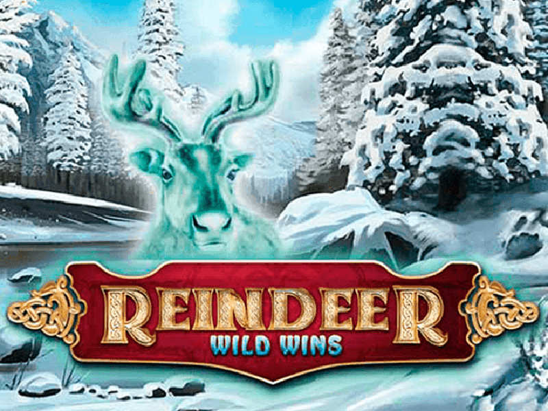 Reindeer Wild Wins Slot