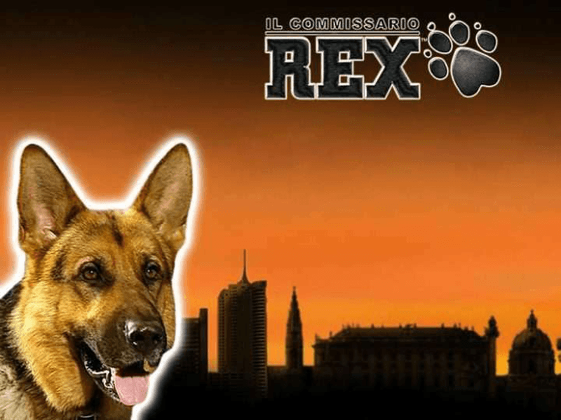 Rex