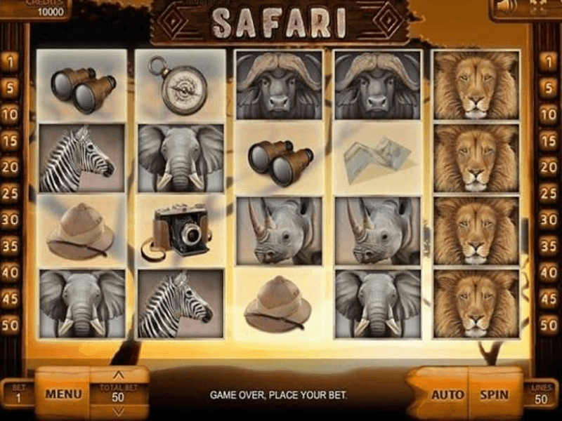 Safari