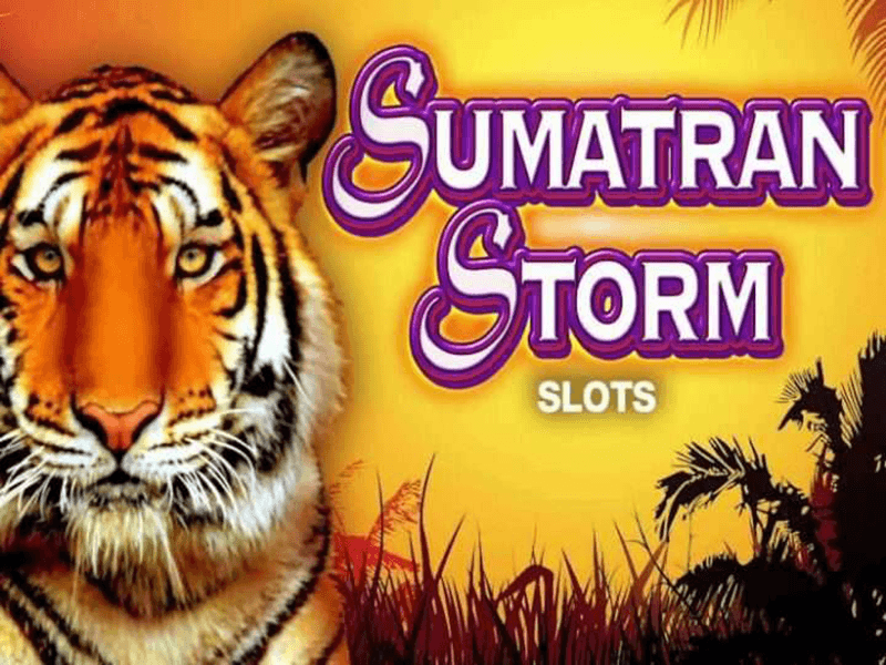 Sumatran Storm