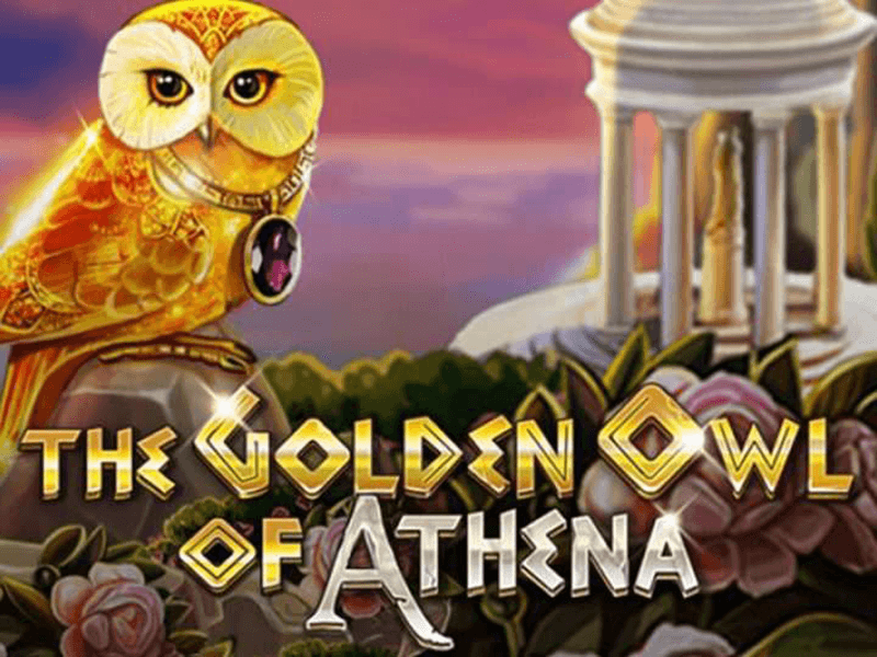 The Golden Owl Of Athena