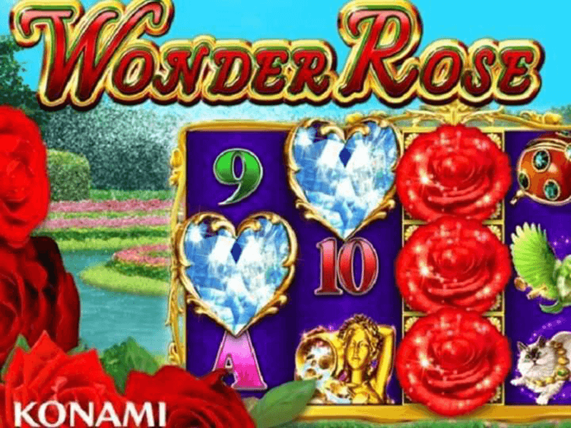 Wonder Rose